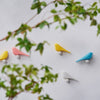 H CONCEPT CANARY WHISTLE PINK