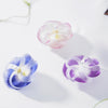 H CONCEPT Kaze guru ma Pinwheel 3pcs Morning sun