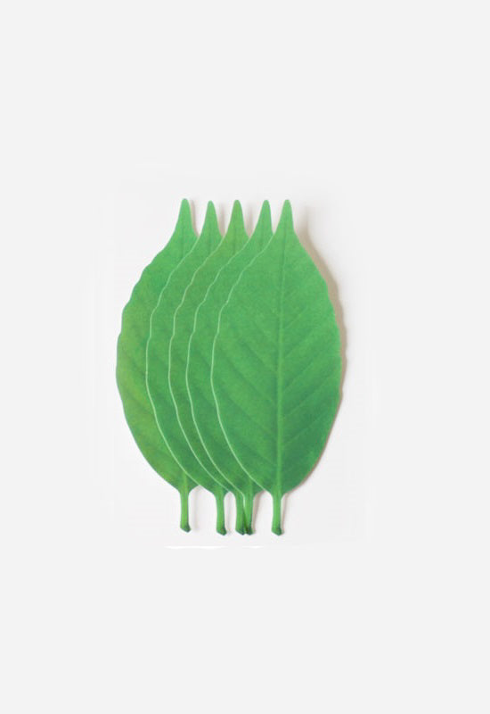 H CONCEPT Leaf Termometer 5 pcs (L)
