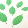 H CONCEPT Leaf Termometer 5 pcs (L)