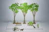 TERADA MOKEI No.10 Tree - Brown/Green