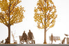 TERADA MOKEI No.24 Street Tree2 Ginkgo - Yellow/Brown