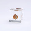 USAGI NO NEDOKO Sola Cube - Shell Ginger