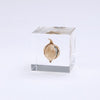 USAGI NO NEDOKO Sola Cube - Shell Ginger